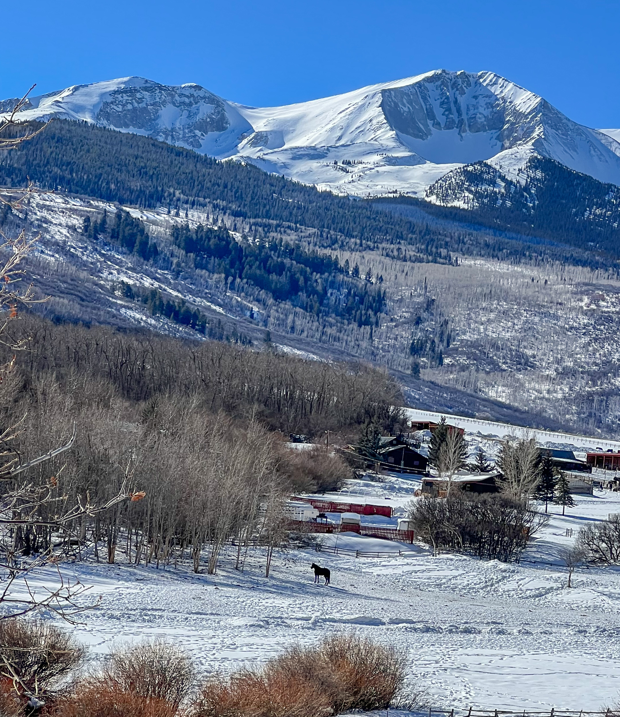 home-alone-at-sopris-tom-korologos